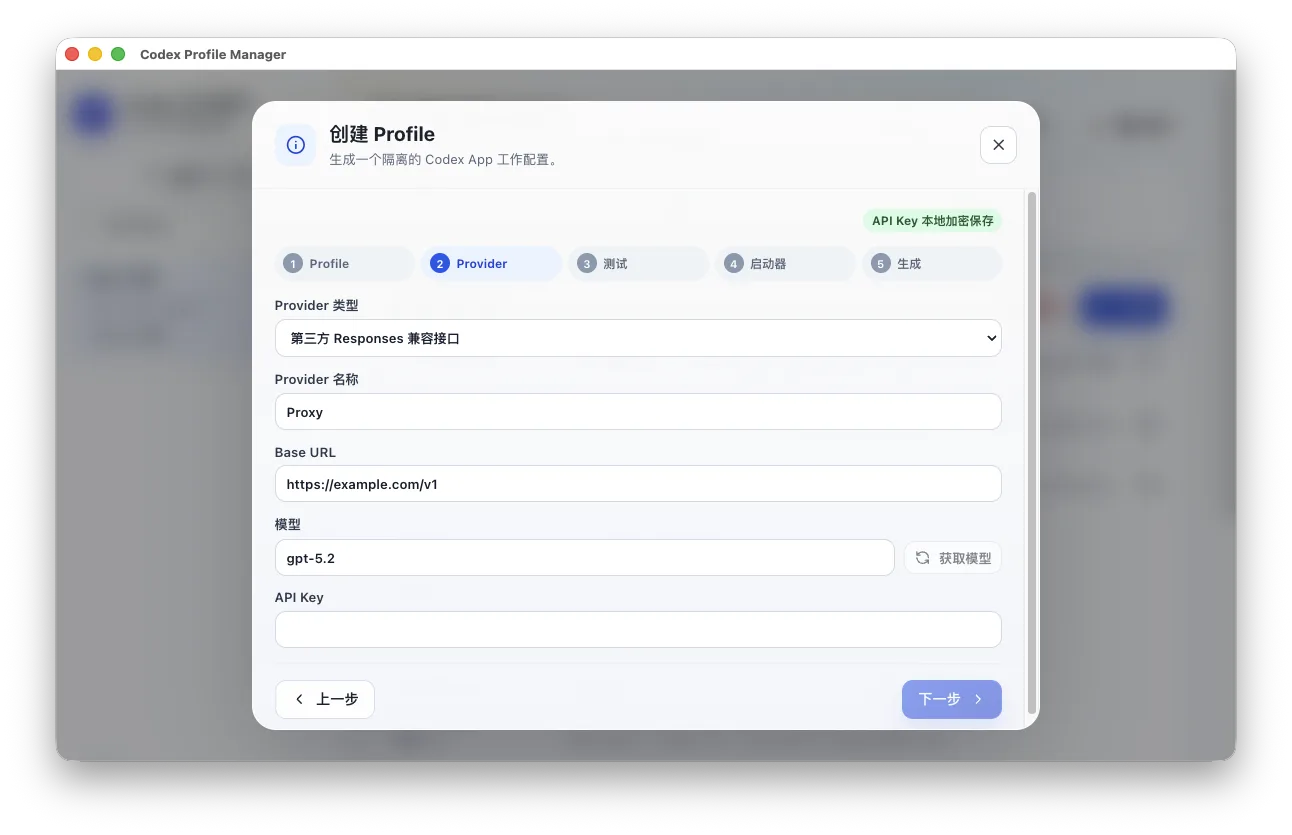 Codex 多开助手 API Provider 配置页面